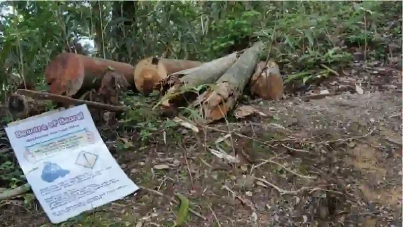 avista national park damage fine